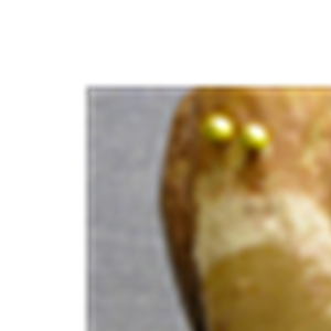 OliverStankovsk's avatar